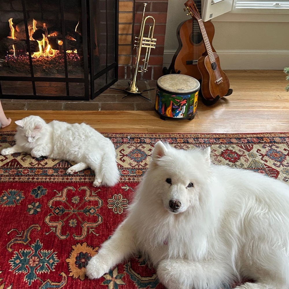 Meet your Posher, Ingrid